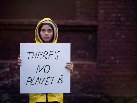 Reduce Your Carbon Footprint and Save Money with Solar Energy for Businesses