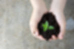 A Sustainable Future