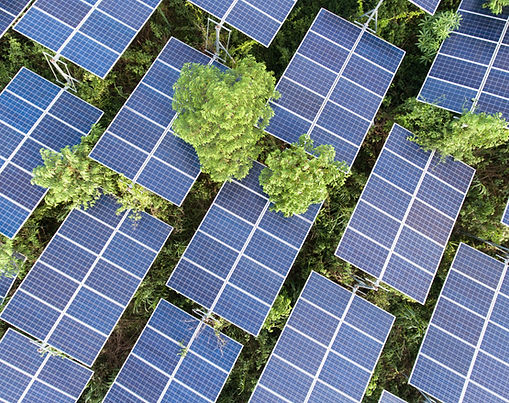 Shouxian PV Plant