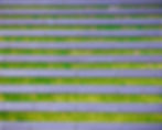 Long-lasting Performance for PV System